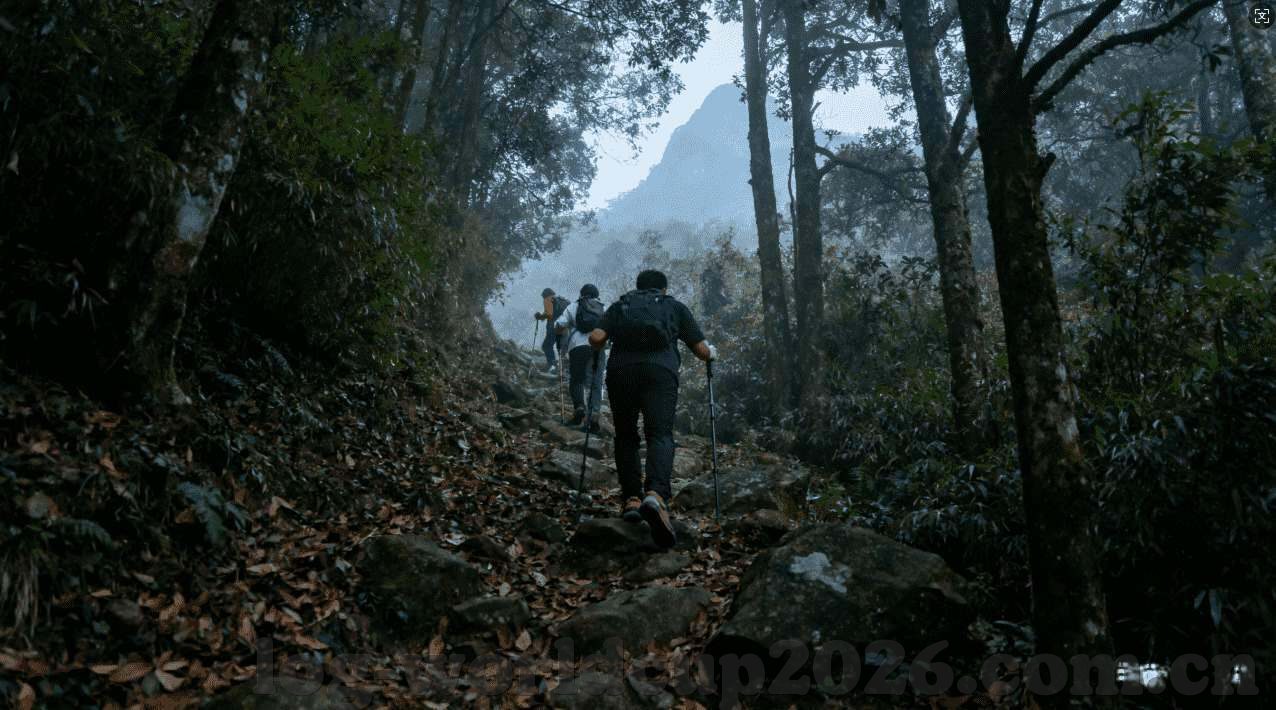 世界杯竞猜官网ff8 tv-世界杯竞猜官网ff8 tv，一场激情与智慧的碰撞